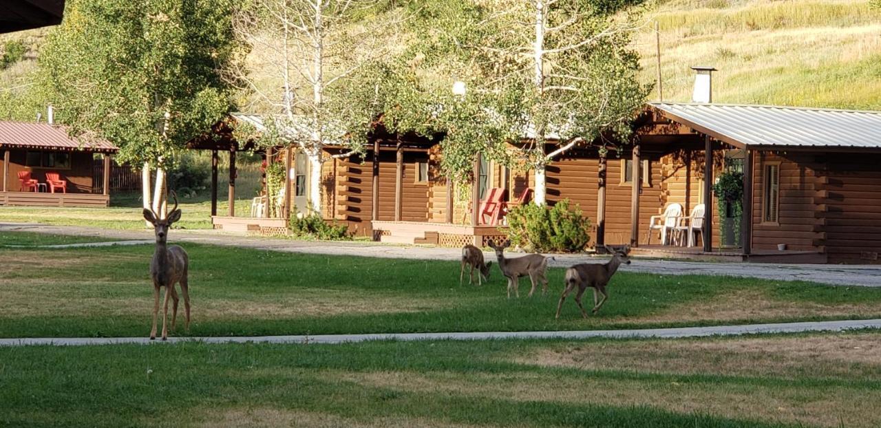 High Country Lodge And Cabins Пагоса-Спрингс Экстерьер фото